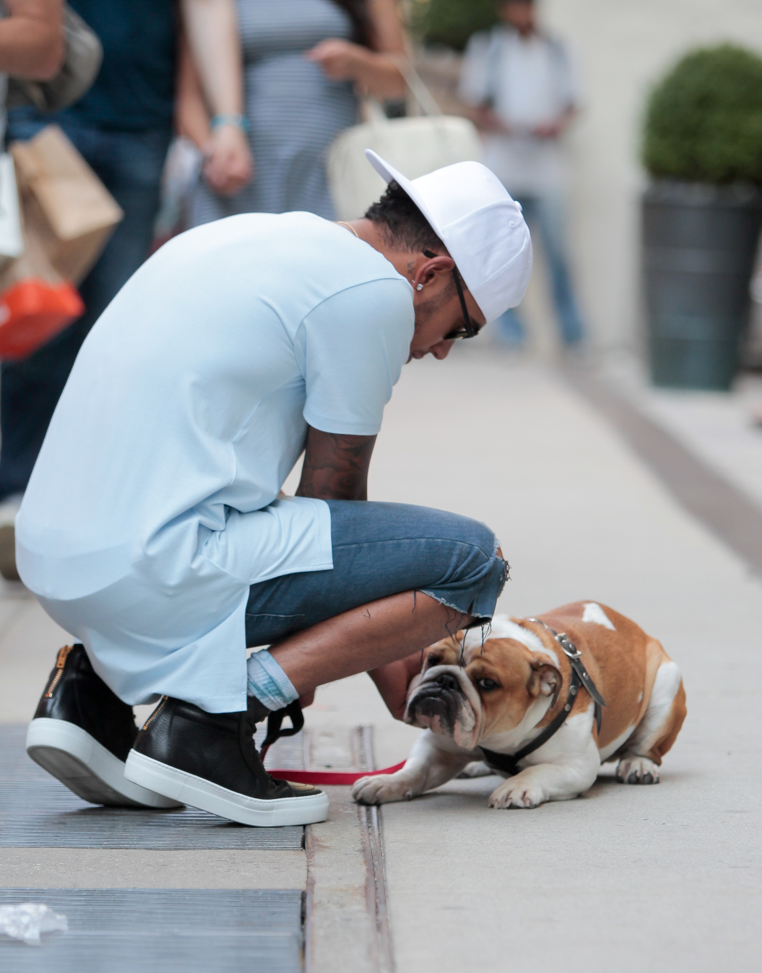 Lewis Hamilton and his dog Roscoe