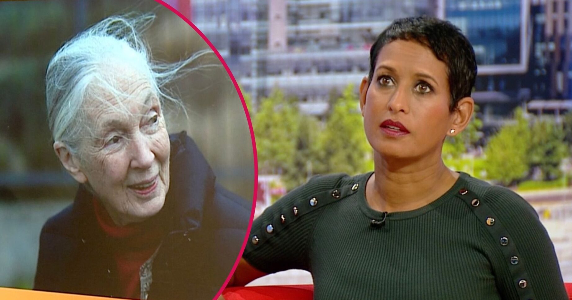 Dame Jane Goodall / Naga Munchetty on BBC Breakfast