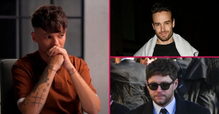 Louis Tomlinson / Liam Payne / Niall Horan