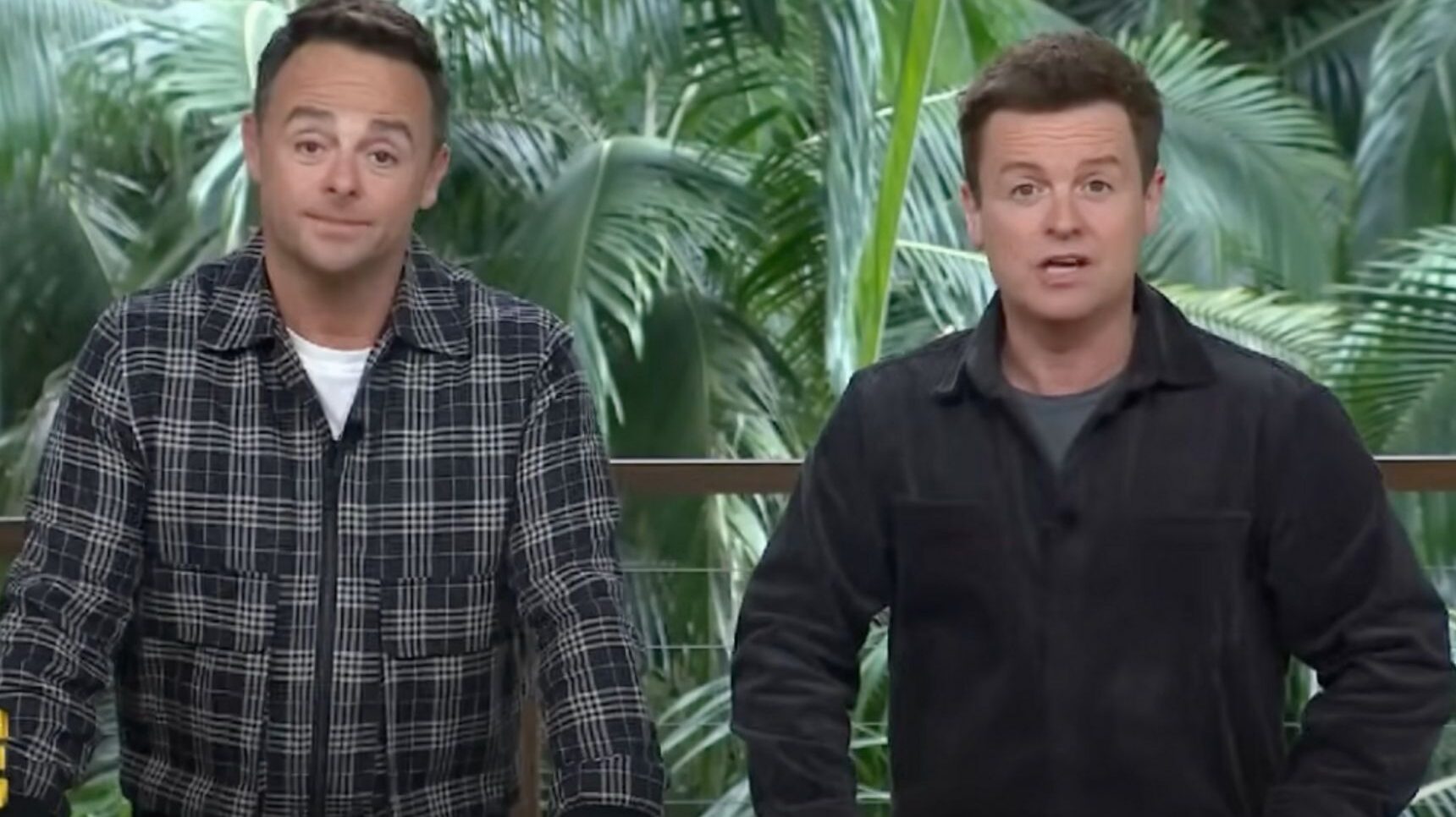 Ant and Dec hosting I'm A Celebrity