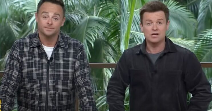 Ant and Dec hosting I'm A Celebrity