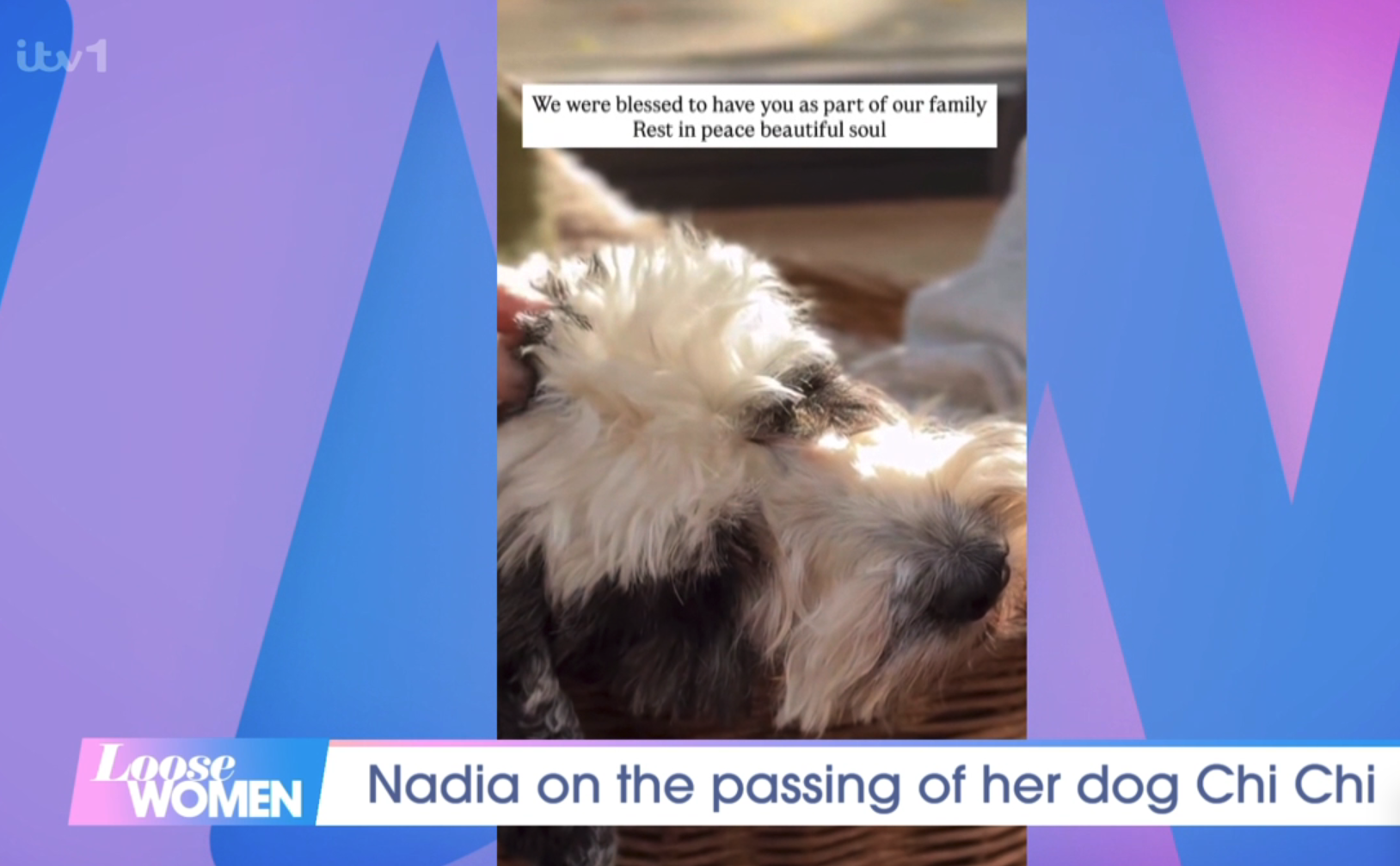 A dog video on Loose Women