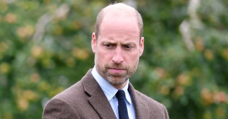 Prince William up close in brown suit