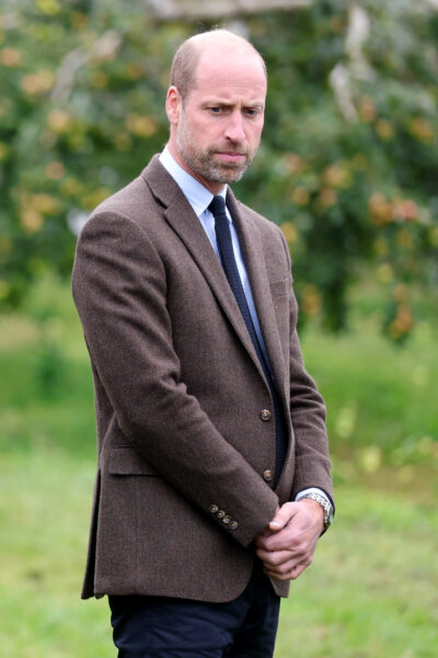 Prince William in suit looking serious
