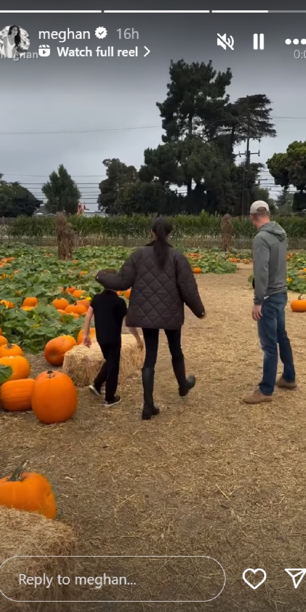 Meghan Markle and Prince Harry on Instagram