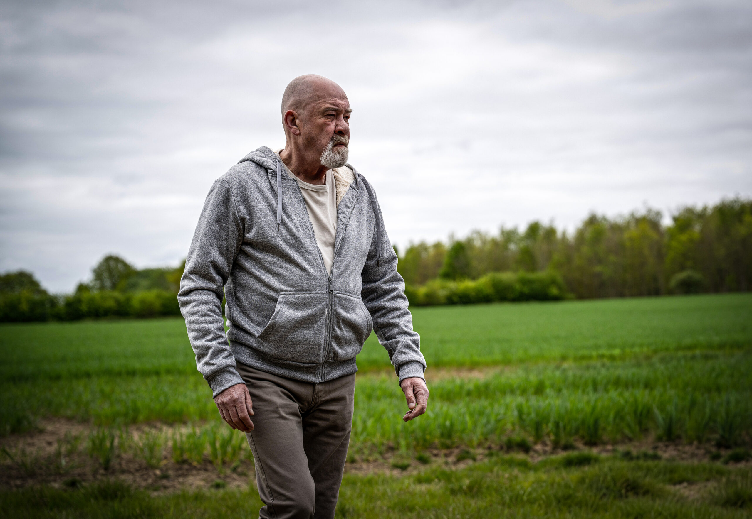 Bear walks in a field in Emmerdale