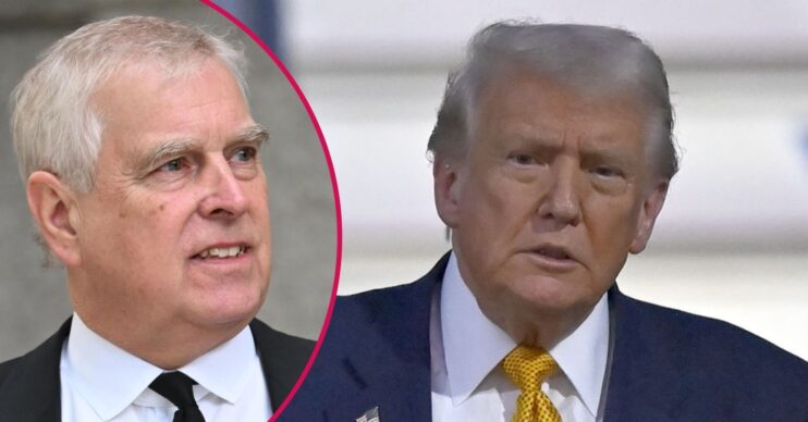 ED composite of Donald Trump and Prince Andrew during public outings