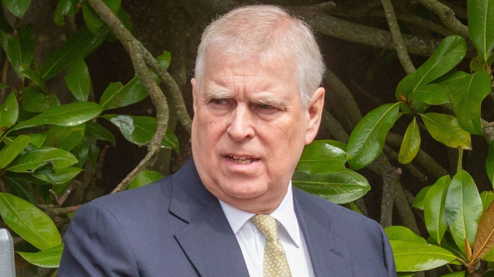 Prince Andrew