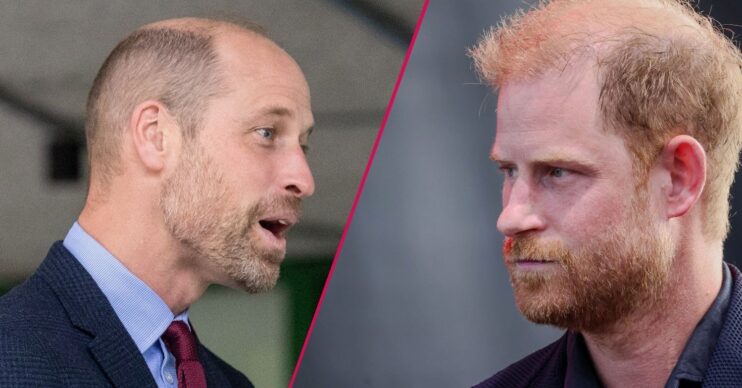 Prince William and Prince Harry