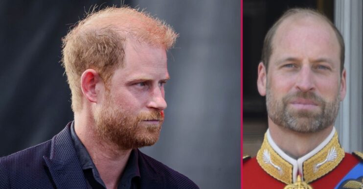 ED composite of Prince Harry and William at different events