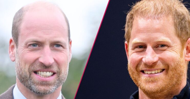Prince William and Prince Harry smiling
