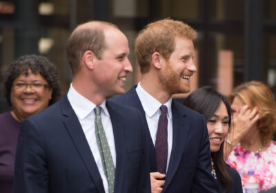 Prince William and Harry smiling during royal engagement