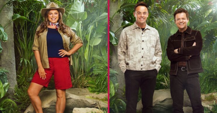 Kelly Brook jungle, Ant and Dec split
