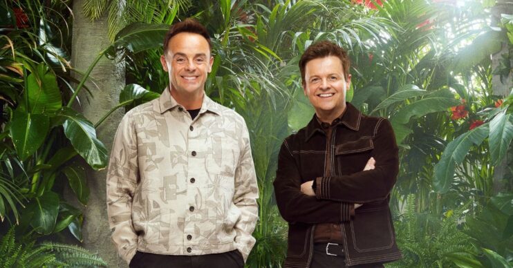 Ant and Dec on I'm A Celebrity