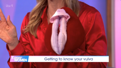 A close up of the vulva model