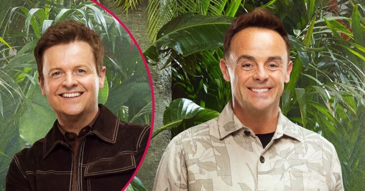 Ant and Dec on I'm A Celeb