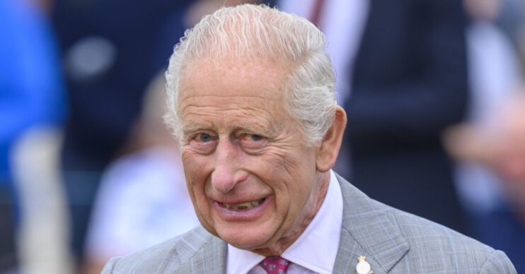 King Charles smiling in grey suit