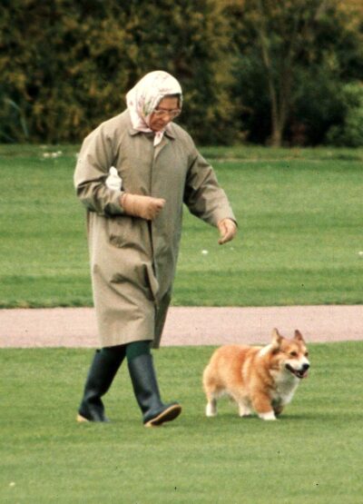 Queen Elizabeth walking with her corgi