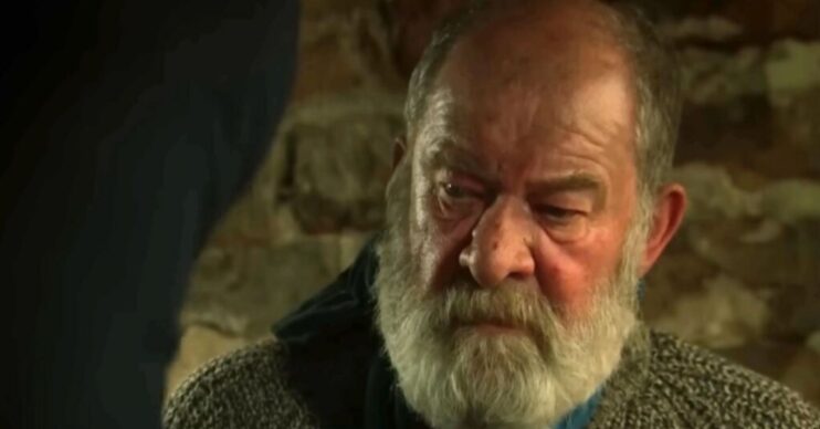 Emmerdale Bear Wolf in captivity