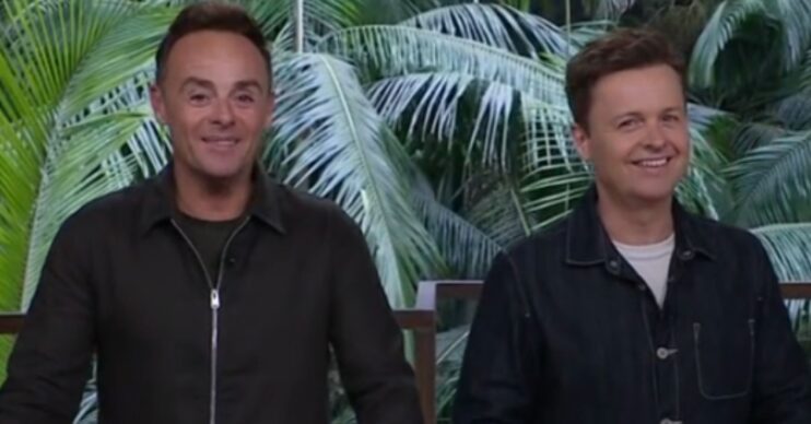 Ant and Dec on I'm A Celebrity