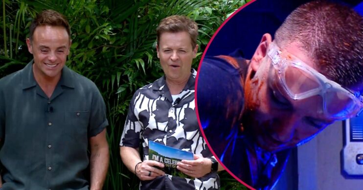 Ant and Dec laughing / Aitch doing I'm A Celeb trial