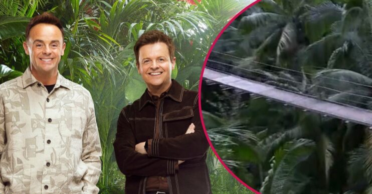 I'm A Celebrity bridge (Credit: ITV)
