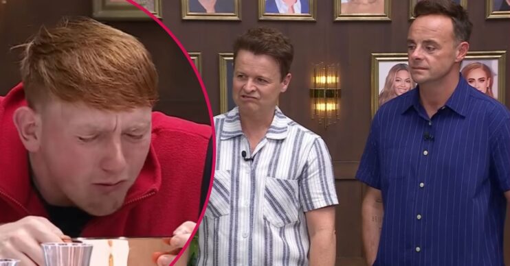 Ant and Dec look queasy as they watch a food trial on I'm A Celebrity
