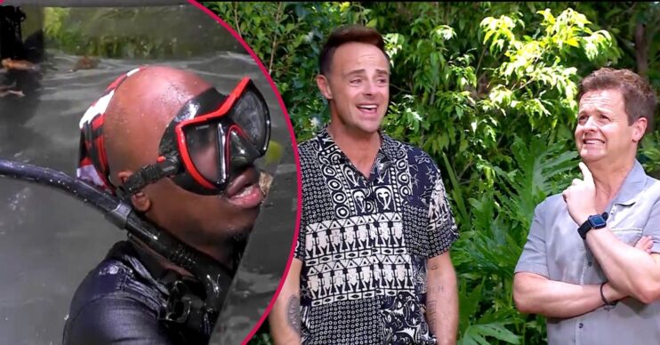 Eddie Kadi and Ant and Dec during Bushtucker Trial