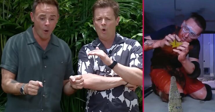 Crocodile Bushtucker Trial