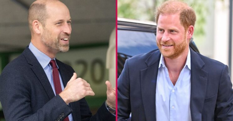 Prince William and Prince Harry