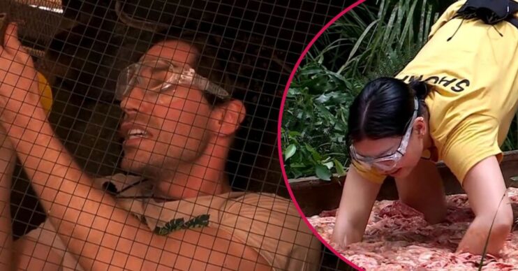 Tom Read Wilson / SHona McGarty on I'm A Celebrity