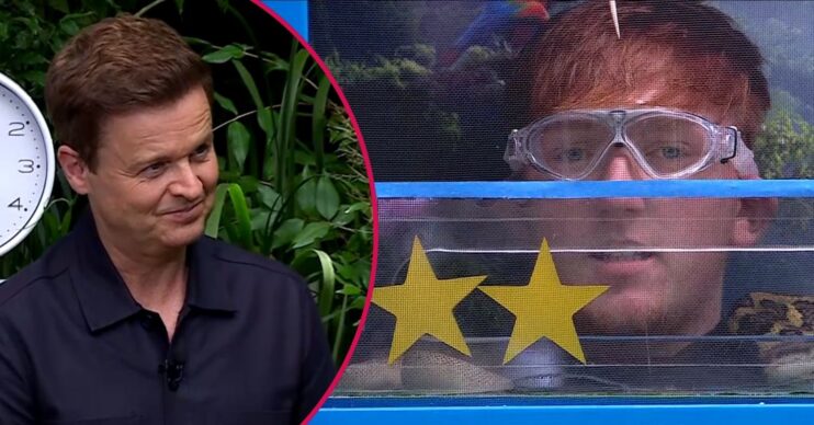 Dec smirking / Angry Ginge in an I'm A Celebrity trial