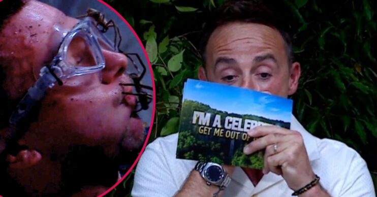 Aitch and Ant McPartin on I'm A Celebrity