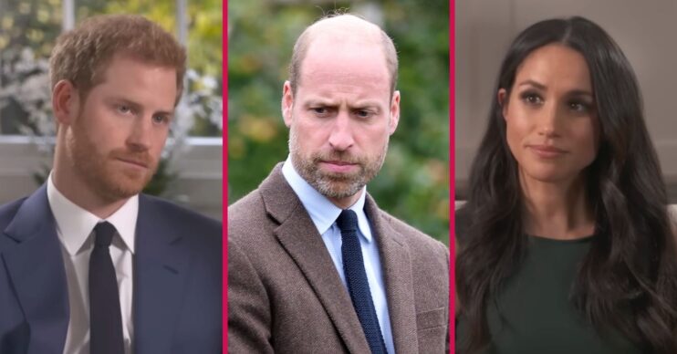 ED composite of Prince Harry, Prince William and Meghan Markle during engagement interview and royal engagement