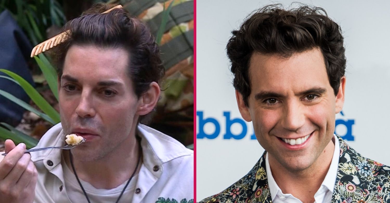 I'm A Celebrity look a likes