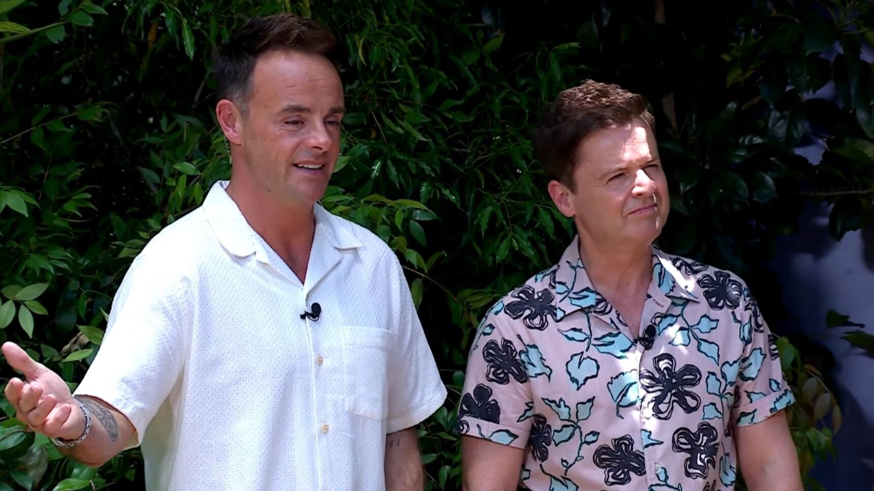 Ant and Dec on I'm A Celebrity