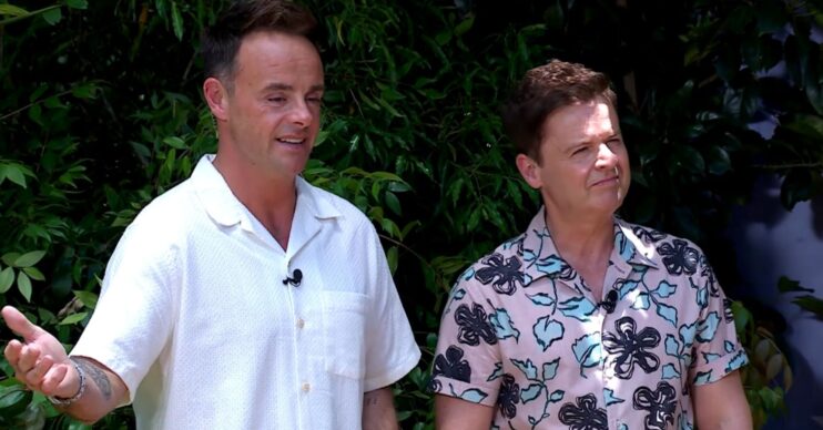 Ant and Dec on I'm A Celebrity