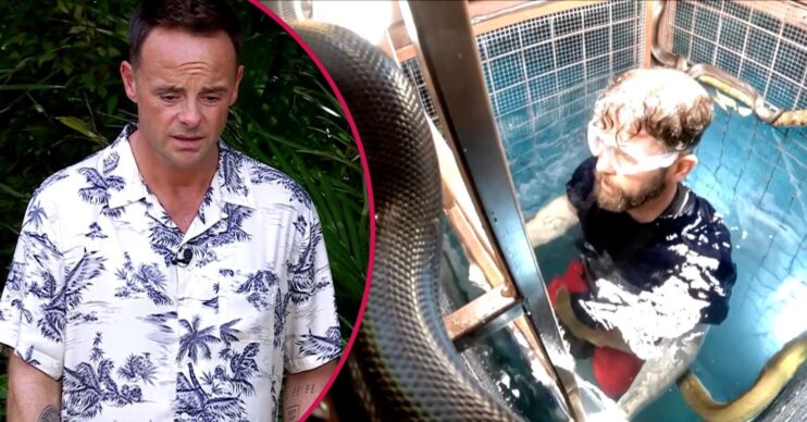 Ant McPartlin on I'm A Celeb / Jack Osbourne during Bushtucker Trial