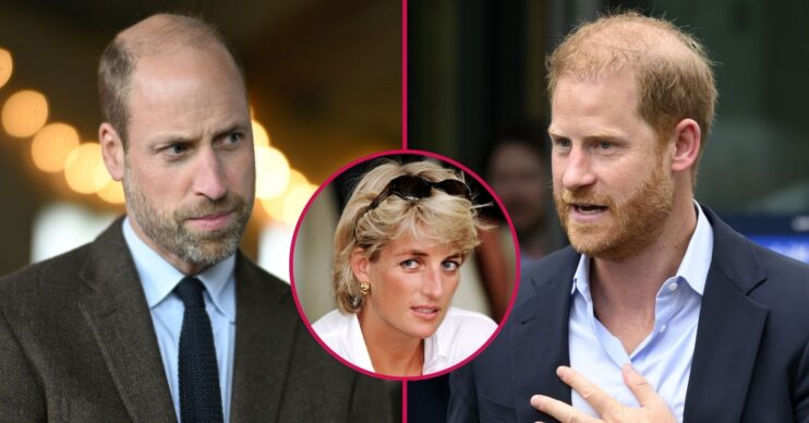 ED composite of Princess Diana, William and Harry during different outings