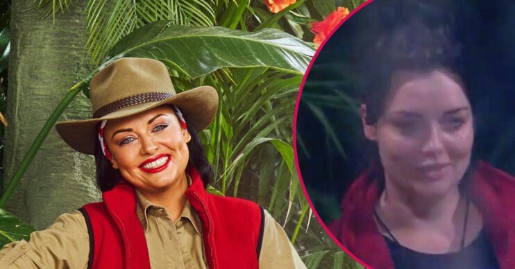 air freshener pull out