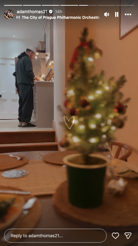 A mini Christmas tree at Adam Thomas' house