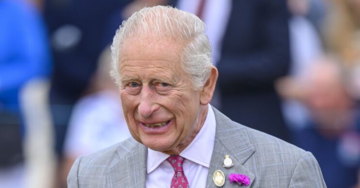 King Charles smiling in grey suit