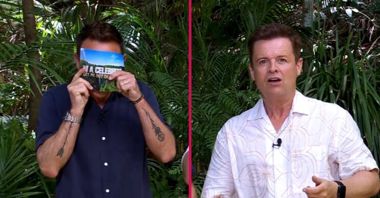 Ant and Dec on I'm A Celebrity