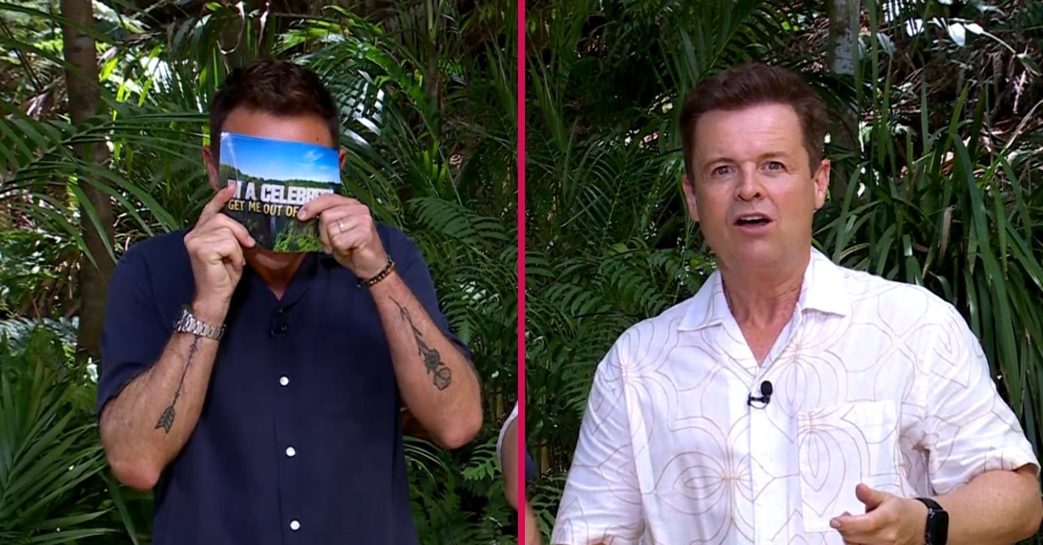 Ant and Dec on I'm A Celebrity