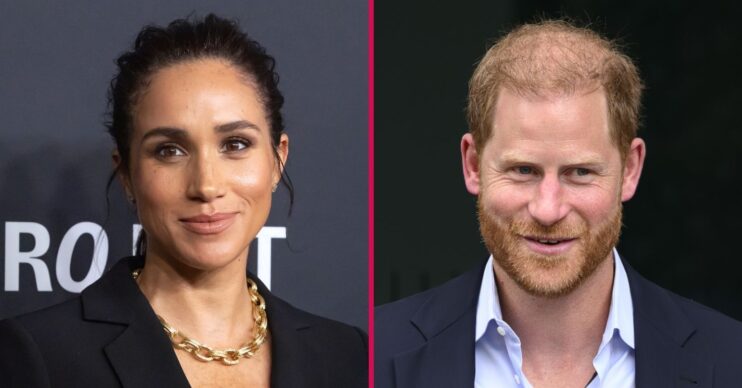 ED split pic: Meghan Markle / Prince Harry at events