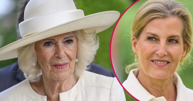 ED composite of Queen Camilla and Duchess Sophie smiling