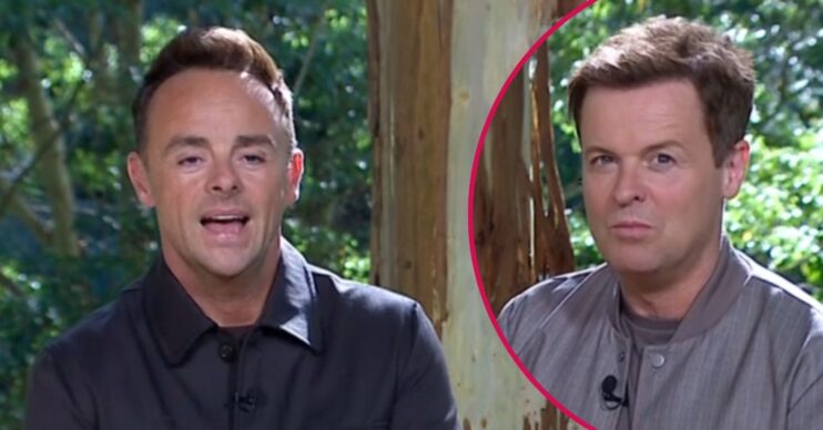 Ant and Dec on I'm A Celebrity