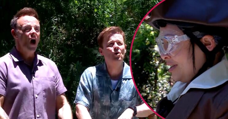 ED comp: Ant and Dec / Shona