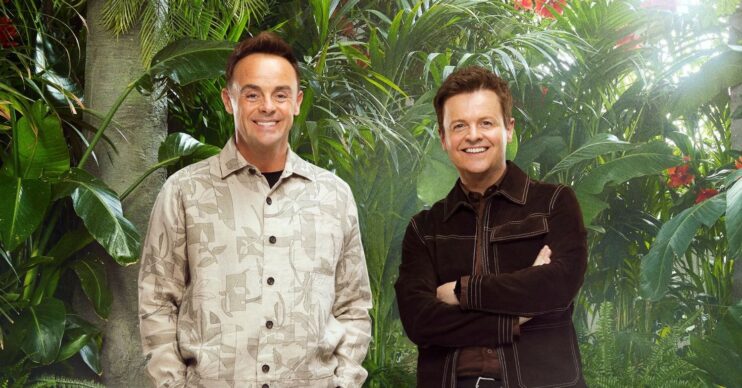 Ant and Dec on I'm A Celebrity