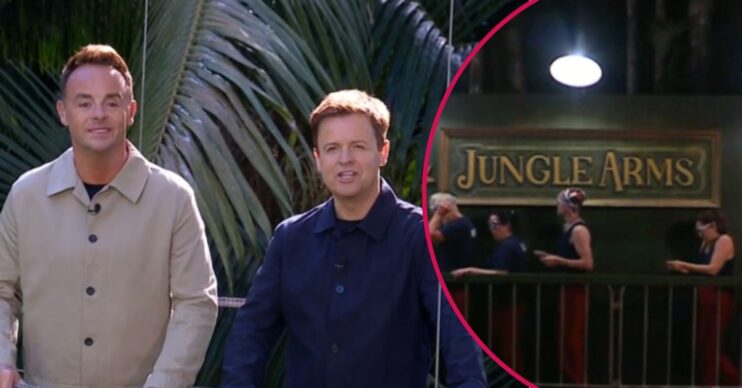 ED comp: Ant and Dec / Jungle Arms